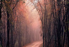 ESPN：FIFA希望引入FVS系统 教练能质疑裁判决定.