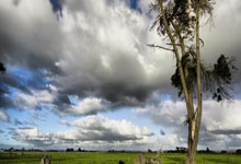 K1体育官网：姆巴佩专访（下）：我想再次世界杯夺冠；PSG没我更好？不关心.