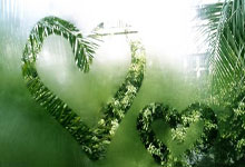 K1体育官网：[NBA]戴维斯拿下23分 森林狼取胜.