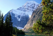 ESPN:FIFA希望引入FVS系统 教练能质疑裁判决定.