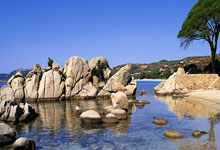 K1体育官网:哈尔滨亚冬会冠军布鲁尔:希望能代表中国队参加米兰冬奥会中国新闻网.